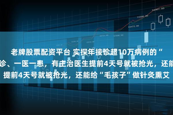 老牌股票配资平台 实探年接诊超10万病例的“宠物界协和”：教授坐诊、一医一患，有主治医生提前4天号就被抢光，还能给“毛孩子”做针灸熏艾
